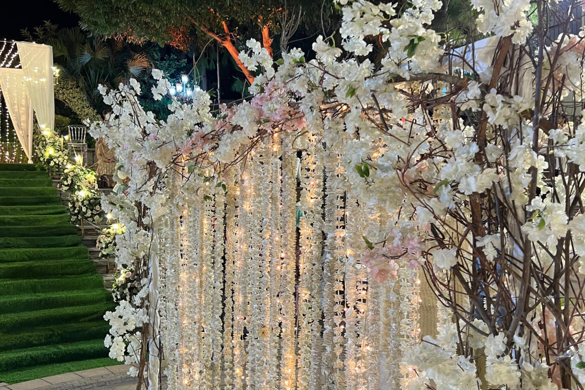 WhatsApp Image 2024-08-27 at 8.14.18 PM (5)