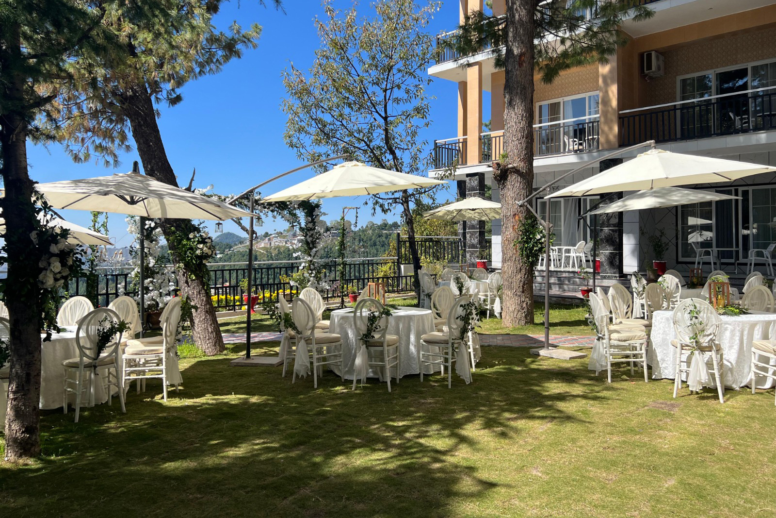 WhatsApp Image 2024-08-27 at 8.14.46 PM